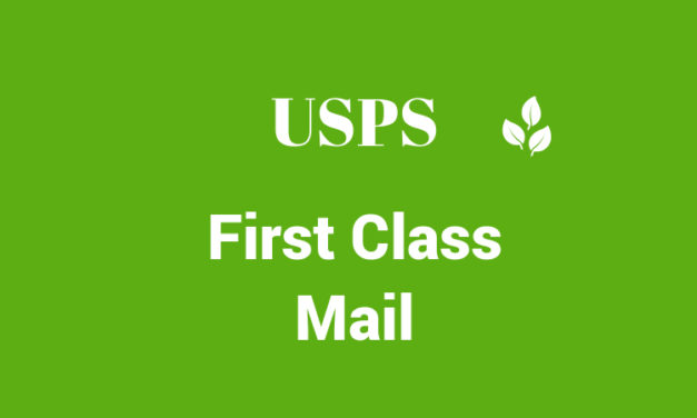 USPS First Class Mail Service