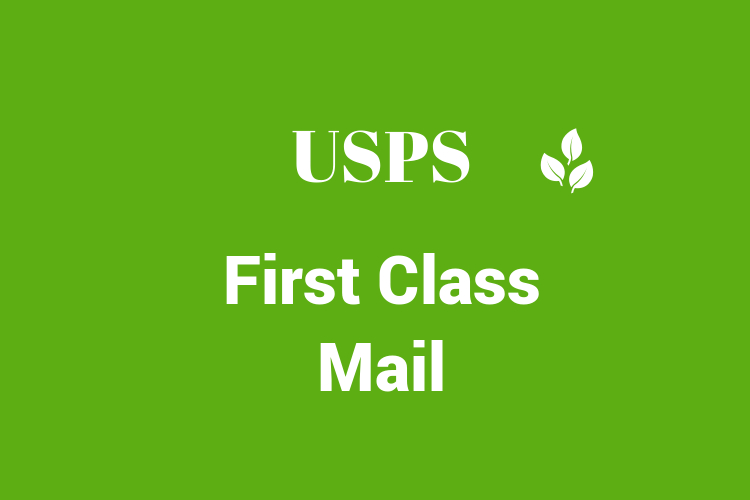 USPS First Class Mail Service